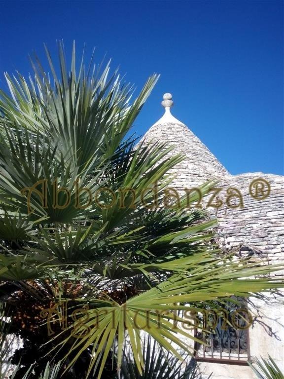Agriturismo Abbondanza Villa Alberobello Bagian luar foto