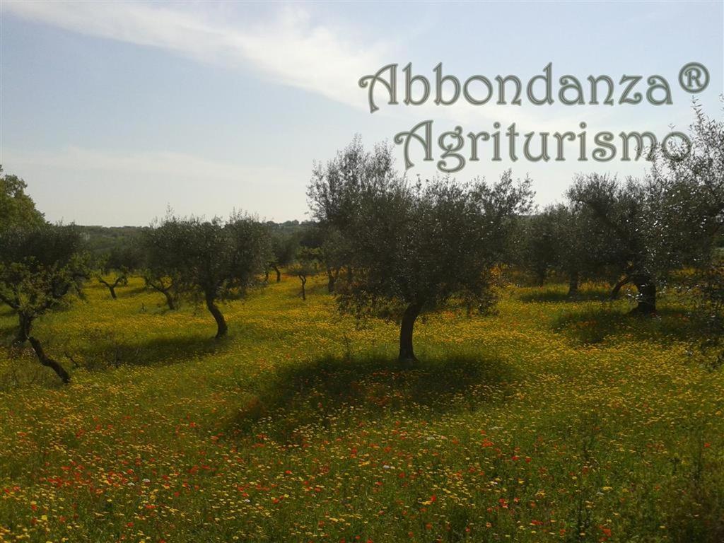 Agriturismo Abbondanza Villa Alberobello Bagian luar foto