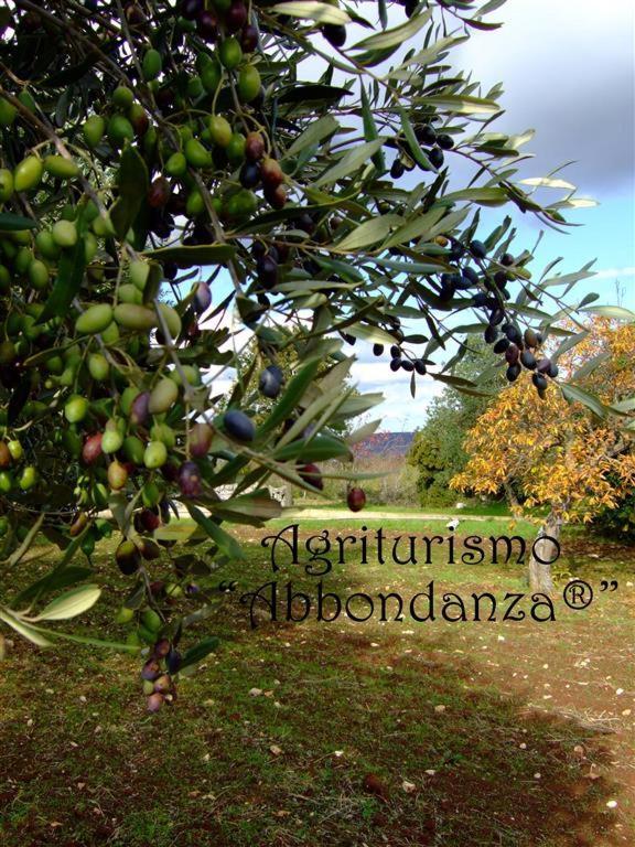 Agriturismo Abbondanza Villa Alberobello Bagian luar foto